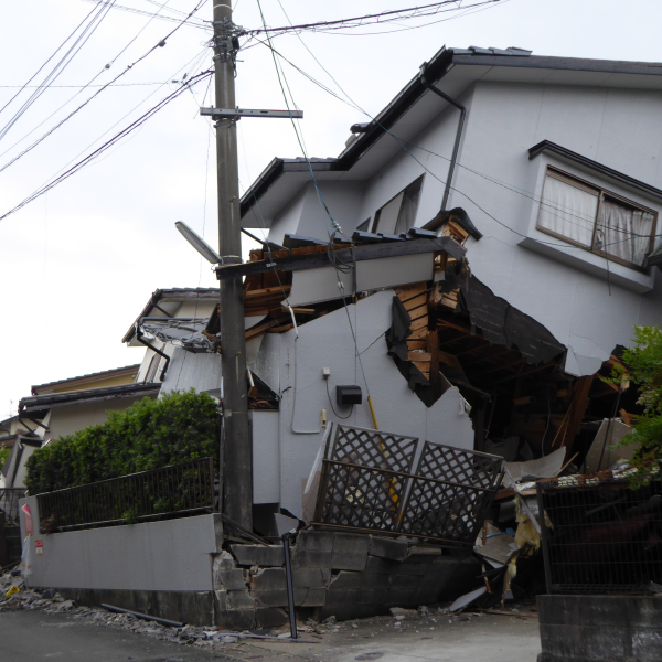 2016 Kumamoto Report